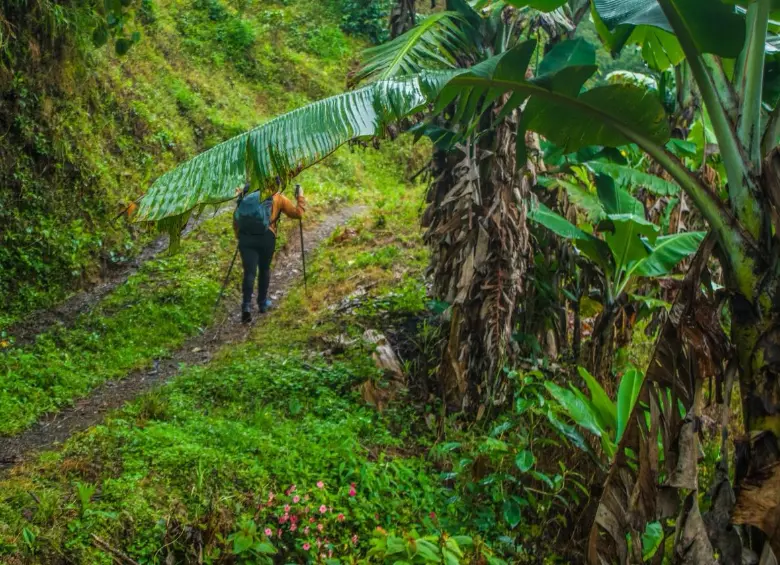 Milena Macias (Guía de Almas Nómadas) subiendo primeros tramos por vereda. Foto: Cristina Rodriguez. 