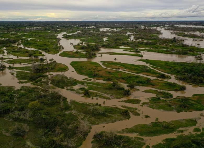 La inundación a La Mojana arruinó cultivos y ahogó vacas, y marranos, y perros, y pollos, y esperanzas. Foto: MANUEL SALDARRIAGA QUINTERO.