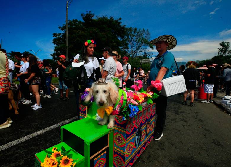 La organización dispuso un vehículo especializado en atención veterinaria que brindó hidratación, chequeos básicos, revisión de pulpejos y control de temperatura, garantizando la comodidad de los participantes de cuatro patas. Foto: Camilo Suárez Echeverry
