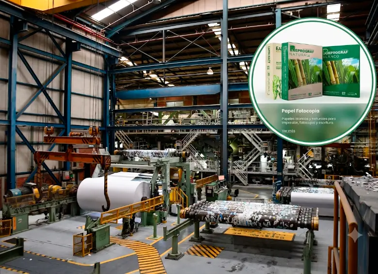 La Organización Carvajal aseguró que las pérdidas operacionales y la competencia de importaciones fueron determinantes para cerrar la planta de Propal en Yumbo. FOTO CORTESÍA DE PROPAL.