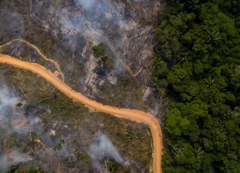 Un latir cada vez más débil: A pocos kilómetros del Parque Nacional Natural Chiribiquete, el fuego arrasa con uno de los ecosistemas más biodiversos poniendo en peligro culturas, especies y el equilibrio del planeta. Cartagena del Chairá, Caquetá, 2022. FOTO © Andrés Cardona