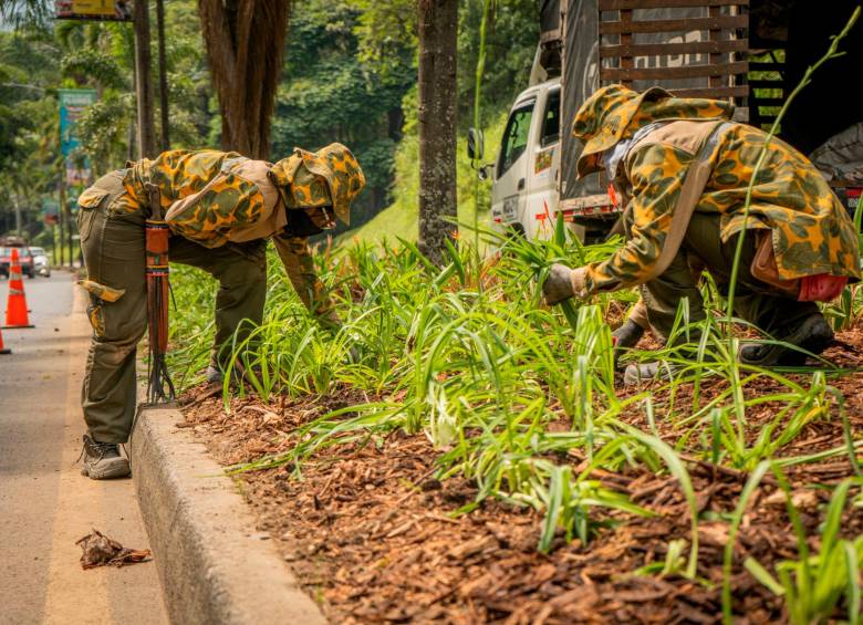 La recuperación de los jardines fue una de las tareas urgentes de la administración de Federico Gutiérrez. Foto: Cortesía