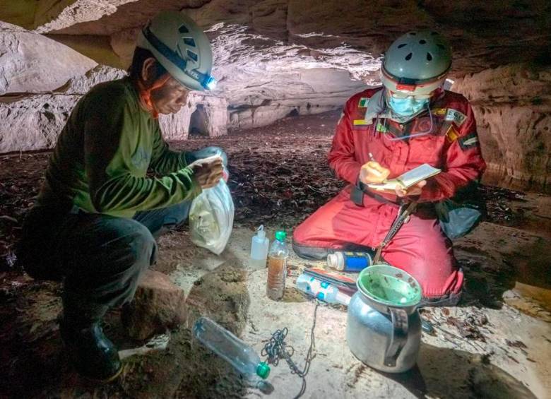 Integrantes de las comunidades indígenas de la zona participaron en la exploración. FOTO Alessio Romeo.