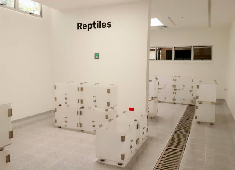 En la clínica habrá un espacio destinado para la atención de reptiles. FOTO: Cortesía