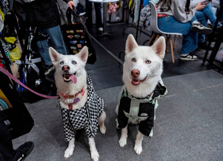 Además de alimentos, accesorios, ropa y juguetes habrá actividades para los peludos. Foto: Cortesía
