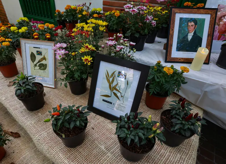 El jardín efímero invita a reflexionar sobre la memoria, la biodiversidad y la responsabilidad de conservar la vida. FOTO Manuel Saldarriaga