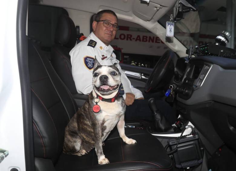 La perrita Brisa posa dentro de uno de los vehículos del cuerpo de bomberos envigadeño. FOTO: Jaime Pérez.