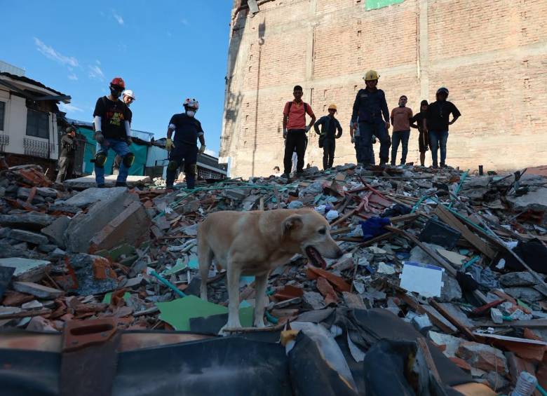 En el centro de Pereira se registraron fuertes afectaciones a edificios y socorristas y ciudadanos buscan sobrevivientes. FOTO: Manuel Saldarriaga