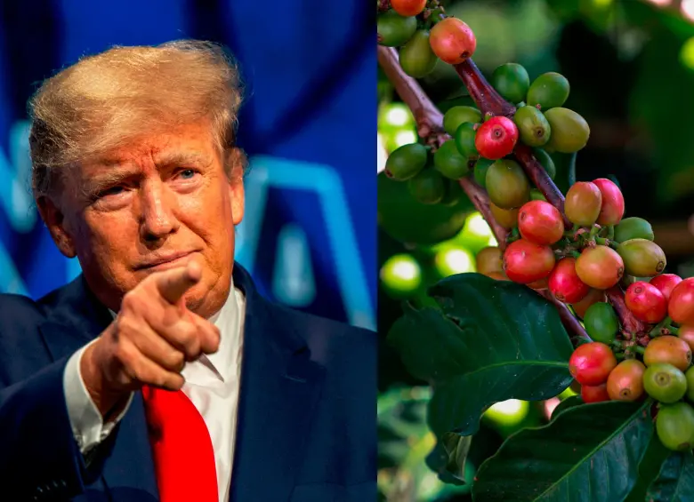 La Casa Blanca, en cabeza de Donald Trump, informó que se retiraron los aranceles al café y otros productos. FOTO GETTY