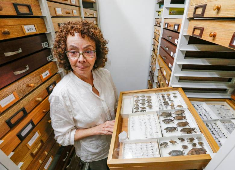 La profesora Martha Wolff. FOTO ESNEYDER GUTIÉRREZ.