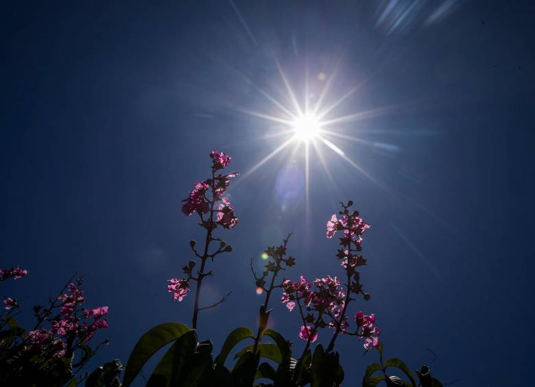 Las altas temperaturas se percibirán toda la semana, en medio de la entrada del verano boreal. Imagen de referencia. FOTO: Archivo EL COLOMBIANO