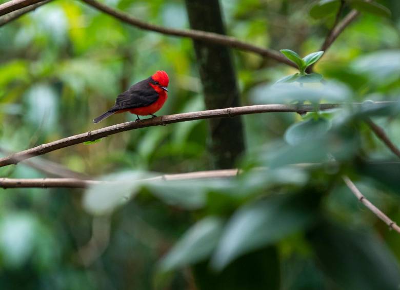 Hay que entender que se está en un mundo en el que todo está interconectado. Foto: Archivo.
