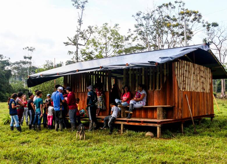 Selva adentro, así se educa en los colegios rurales de Antioquia