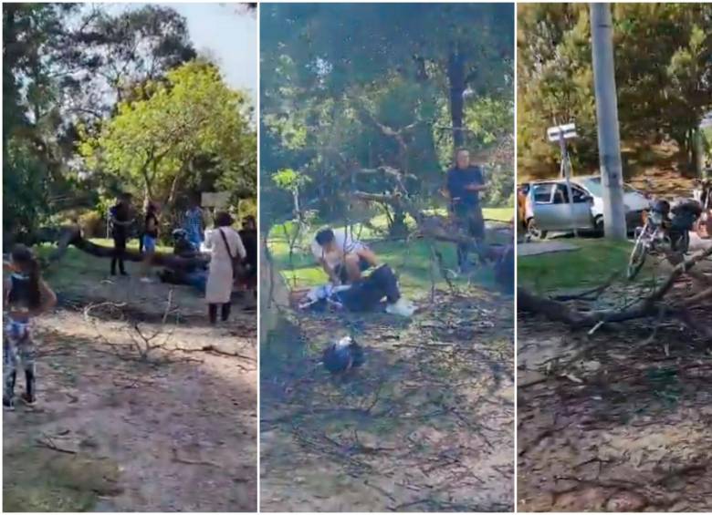 Bomberos de la estación Chapinero rescataron a quienes quedaron bajo el tronco del árbol y les prestaron atención prehospitalaria. FOTOS: captura de video 