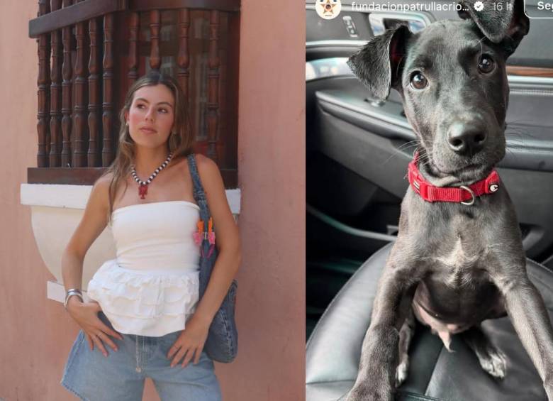 Durante la emergencia invernal en Córdoba, decenas de voluntarios, veterinarios, fundaciones e influencers participaron en jornadas de rescate y traslado de animales afectados por las inundaciones. FOTO: redes sociales, Camila Reyes Londoño y Patrulla Criolla.
