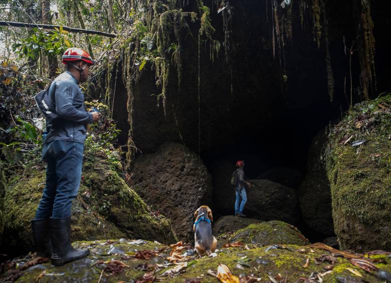 Este es el organal de San Antonio en Támesis, involucrado en la noticia falsa del río subterráneo, y que podría verse en riesgo si este tipo de contenido se traduce en turismo masivo sin control. FOTO: EL COLOMBIANO