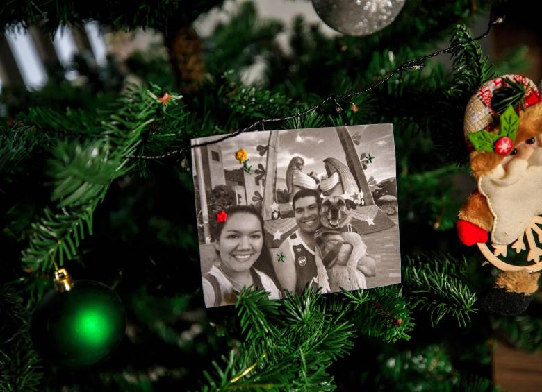 Así vive Odie, el perro rescatado en el metro de Medellín, que encontró familia luego de 10 años