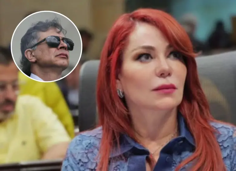 Hace tan solo unas horas, se conoció un auto en el que la presidenta de la Comisión de Acusaciones habría adelantado una “suspensión” a Gustavo Petro. Sin embargo, esto tiene que pasar por un proceso jurídico diferente. 