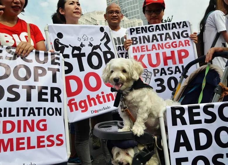 El consumo de carne de perros en Yakarta ha generado protestas por parte de colectivos que se oponen a esta tradición, mientras que otra parte de la población defiende esta práctica. Foto: Getty Images