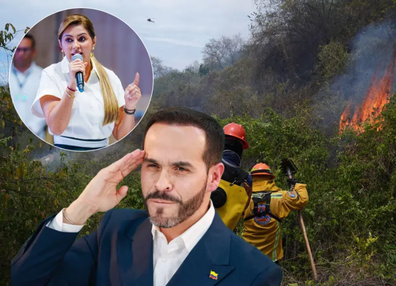 La gobernadora del Tolima denunció amenazas contra brigadistas militares que intentan apagar incendios e Tolima. Fotos: Getty Images, Manuel Saldarriaga y @adrianamatiztol