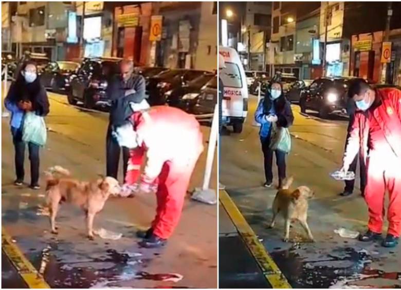 “Bobby” esperó dos días a su amo a las afueras de un hospital. Mientras tanto, lo cuidaron personas que transitaban el lugar a diario. FOTOS: Captura de video 