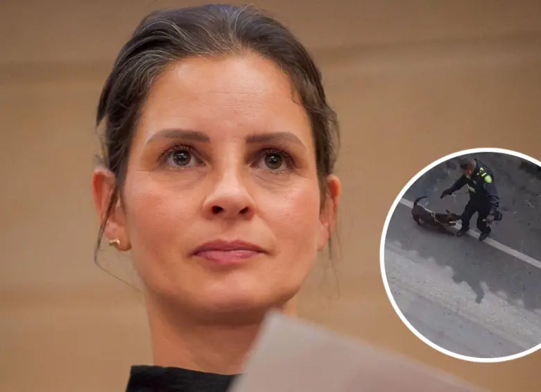 La autora de la Ley Ángel habló con EL COLOMBIANO sobre la aplicación de dicha normativa en el caso del perro Tigre, que murió a causa de un disparo por parte de un policía. Fotos: Captura video y Cortesía suministrada a EL COLOMBIANO