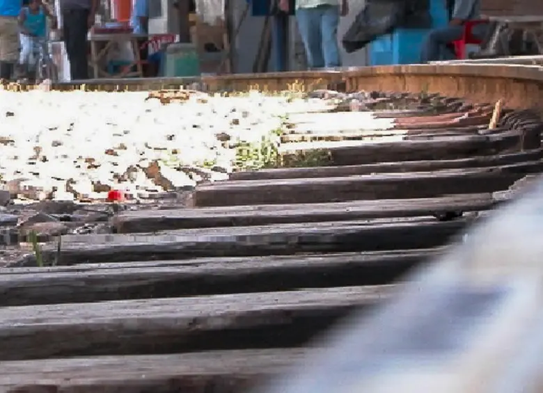 Algunos de los durmientes de madera de las vías del tren se hicieron con madera de caracolíes. Foto: Andrés Camilo Suárez Echeverry