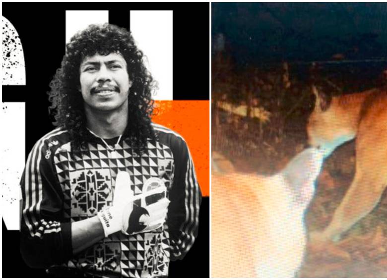 René Higuita y los dos pumas que busca ayudar. Fotos: Tomadas de X. 