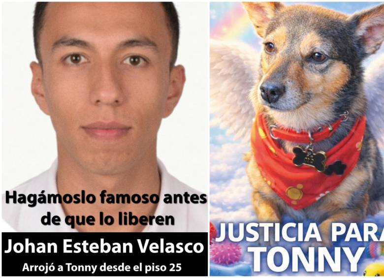 Él es Johan Esteban Velasco Posada, el presunto responsable de la muerte de Tonny. FOTO: Captura de video de redes sociales @PlataformaALTO y cortesía Corazón Animal Vegano