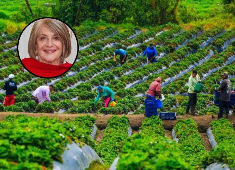 Todo no está acabado. Luego de que se posesione el nuevo Congreso, se buscará de nuevo aprobar el proyecto de ley. Para este texto, EL COLOMBIANO consultó a la exministra de Agricultura, Cecilia López. FOTO Camilo Suárez 