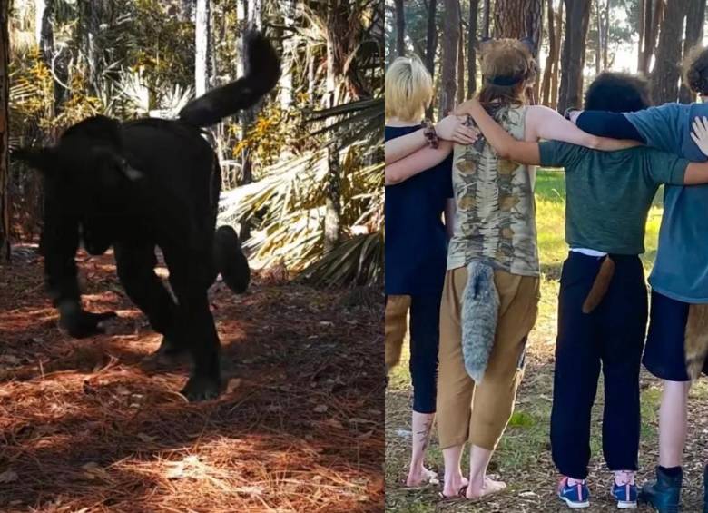 La comunidad therian comenzó a organizarse en foros de internet en la década de 1990, donde encontró un espacio para compartir experiencias e identidad lejos del estigma social. FOTO: Redes sociales. 