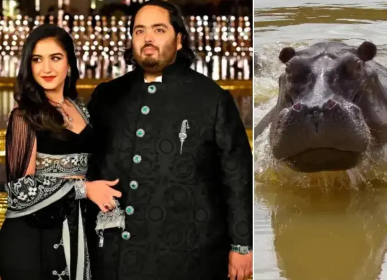 Él es el multimillonario Anant Ambani, hijo de magnate indio, que se ofreció a recibir los hipopótamos de Colombia. FOTO: Getty y Juan Antonio Sánchez