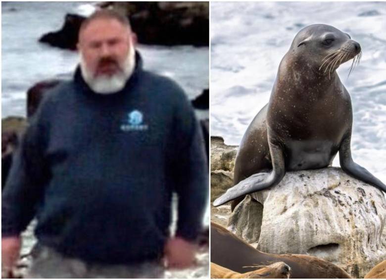 El Servicio Nacional de Pesca Marina ofreció 20.000 dólares por información del hombre que fue visto cortando la cabeza de un león marino muerto en California. FOTO: Cortesía NOAA Fisheries y Getty