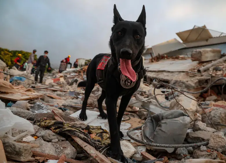 Los terremotos que sacudieron a Venezuela el pasado 24 de junio han dejado más 16.000 heridos. FOTO Getty. 