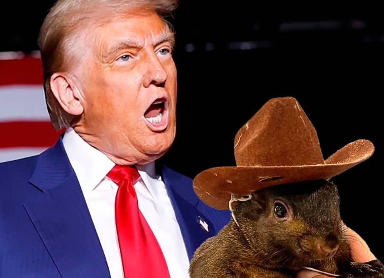 En redes sociales circula un comunicado en el que supuestamene Trump rechaza la muerte de Peanut. FOTO getty y El colombiano