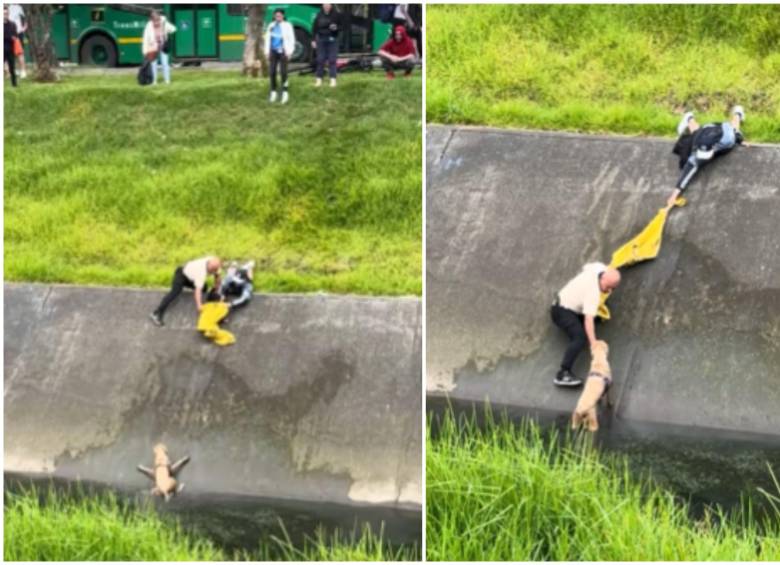 Los dos ciudadanos hicieron una cadena humana y utilizaron una chaqueta amarilla para poder llegar hasta donde estaba el perro en el caño en Bogotá. FOTO: Captura de video de redes sociales @yicelatriana