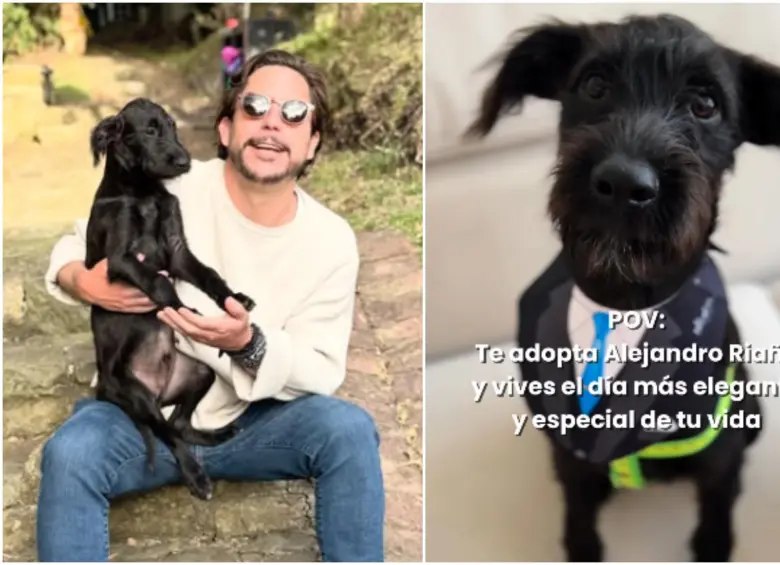 Barbitas era carnada para tiburones, pero Alejandro Riaño le dio una nueva vida. FOTO: Redes sociales Alejandro Riaño y Huellas de Amor