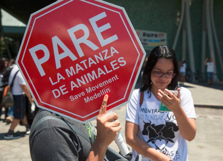 Los colectivos animalistas de El Santuario buscan que se frenen los recientes hechos de violencia contra los animales. FOTO: ARCHIVO