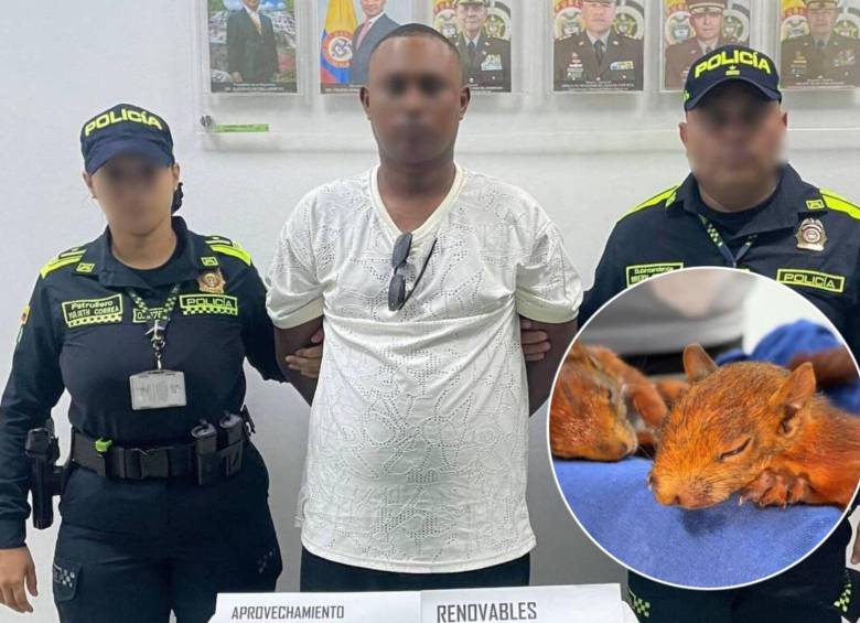 El hombre de 25 años fue capturado en el aeropuerto Rafael Núñez de Cartagena con dos ardillas en los genitales. Fotos: Policía Metropolitana de Cartagena y EPA Cartagena