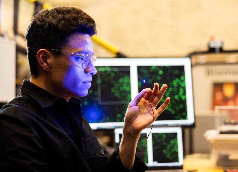 Los investigadores han recuperado el control de los músculos con luz en vez de con estimulación eléctrica. En la imagen, el experto en biomecatrónica Guillermo Herrera-Arcos observa una diminuta luz que brilla a partir de materiales del laboratorio. Foto: Agencia Sinc / Steph Stevens.