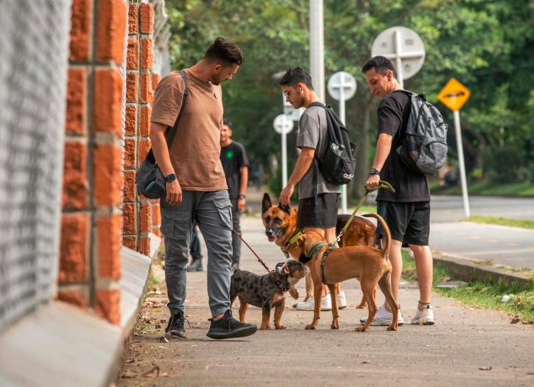 Muchas empresas en Colombia se han acoplado a la práctica de recibir en sus instalaciones a las mascotas de los trabajadores, al menos por un día. Foto: EL COLOMBIANO