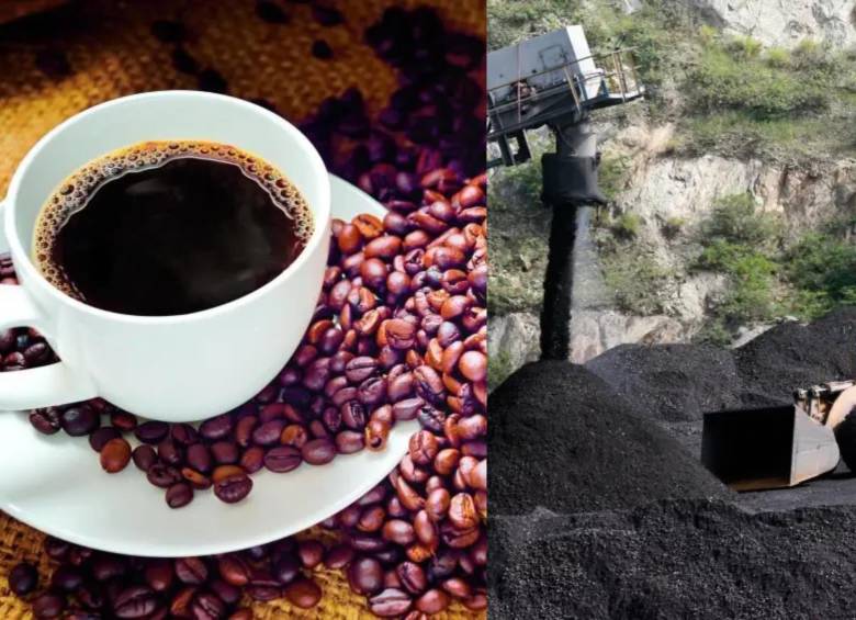 Según la Federación de Cafeteros (FNC), en 2025 las exportaciones de café crecieron 70,6%, alcanzando el 38% de las exportaciones del sector agropecuario. Foto: El Colombiano