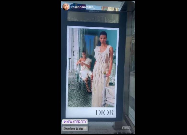 Campaña de Dior en Nueva York en la que aparece Honey Hooker. FOTO Cortesía @rosannaovalles_ en Instagram