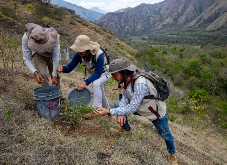 La inversión ambiental de las empresas colombianas alcanzó cerca de $10 billones en 2025 y superó por primera vez a la inversión social, según el Índice de Inversión Social y Ambiental Empresarial (IISAE). FOTO EL COLOMBIANO