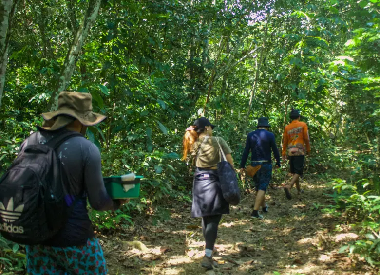 Caminata inicial a la Cascada del Oro. Foto: Cristina Rodriguez. 