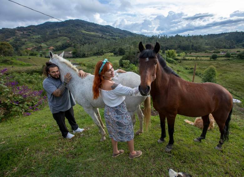 Andrés González y Liseth Bustamante son los encargados de hacer que los días de este par de equinos sea la mas confortable posible Foto: Edwin Bustamante