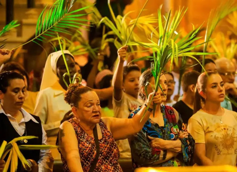 La palma de cera la utilizan en el domingo de ramos en Semana Santa. FOTO: Camilo Suárez