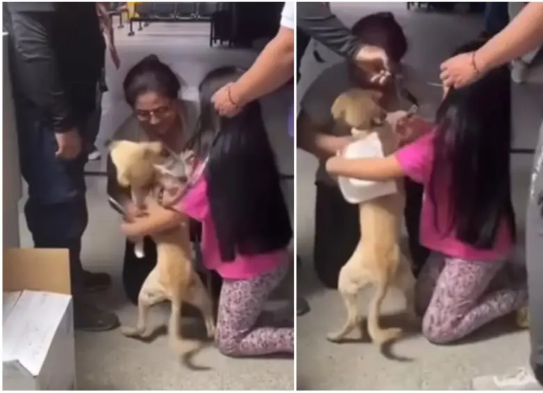 Momento en que Antonio se reencontró con su perro Bruno. FOTO: Captura de video de redes sociales @fundaciongloriamariana y @soylorenarosero
