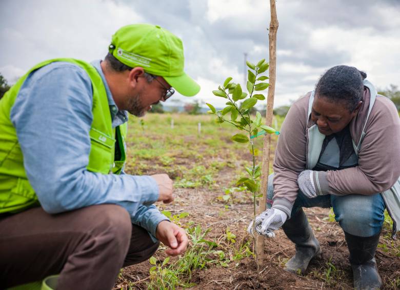 Uno de los casos de éxito es el del Banco Agrario, el cual ha venido promoviendo la conservación del medio ambiente a través de líneas de créditos verdes. FOTO CORTESÍA