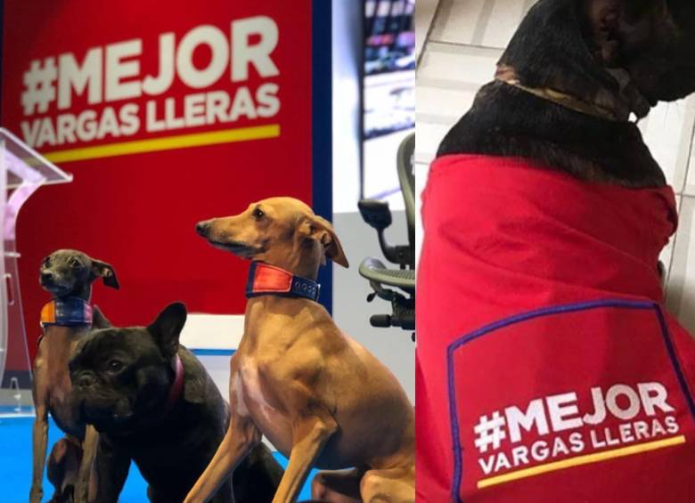 El exvicepresidente Germán Vargas Lleras compartía constantemente momentos junto a Mancho y sus perros en redes sociales. Foto: instagram @manchovargasoficial